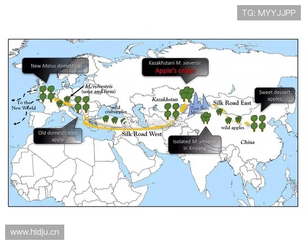 从单箭头到自由中锋：苏亚雷斯的战术进化路径